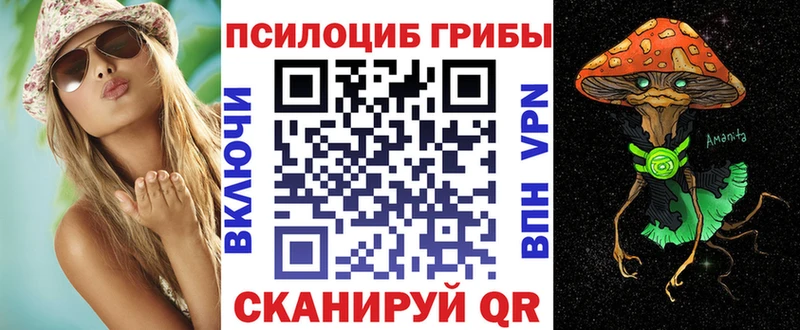 наркотики  Шлиссельбург  Галлюциногенные грибы GOLDEN TEACHER 